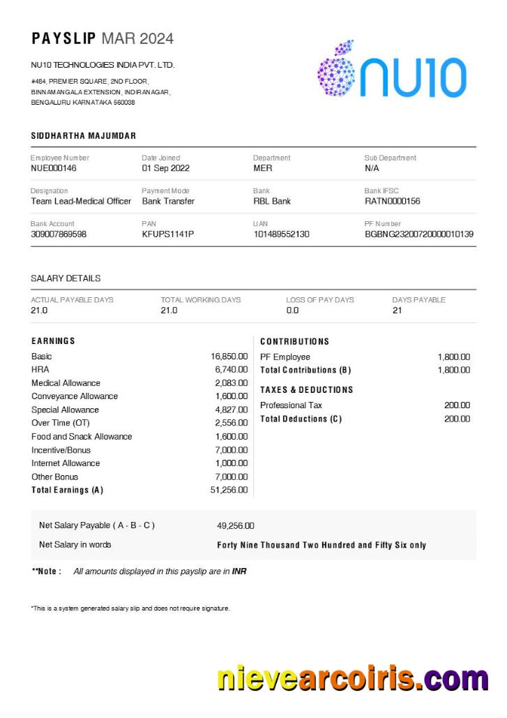 NU10 Technologies India payslip